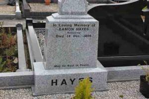 Hayes Eamon Knockroe